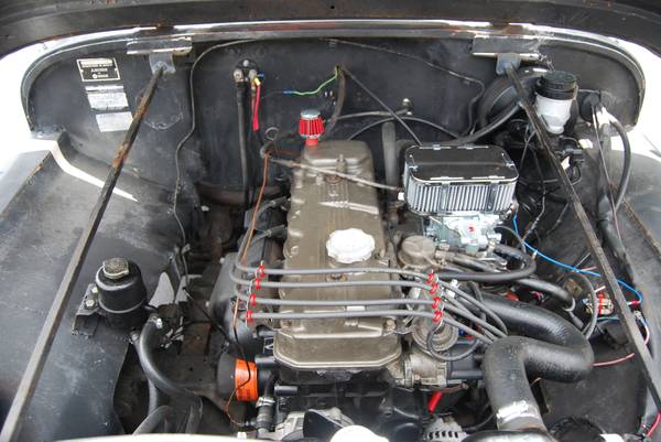 year-cj6-jacksonville-fl4