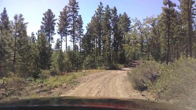 2013-08-31-bickleton-shortcut