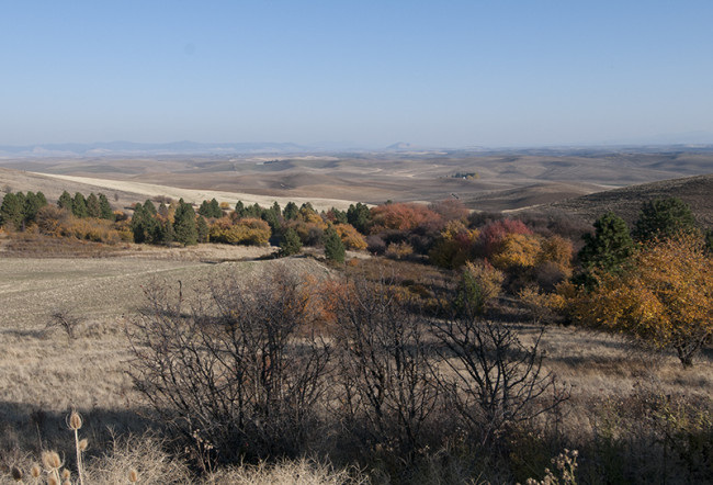 2013-10-26-steptoe-butte-state-park4