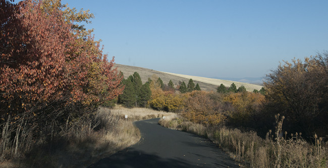 2013-10-26-steptoe-butte-state-park5