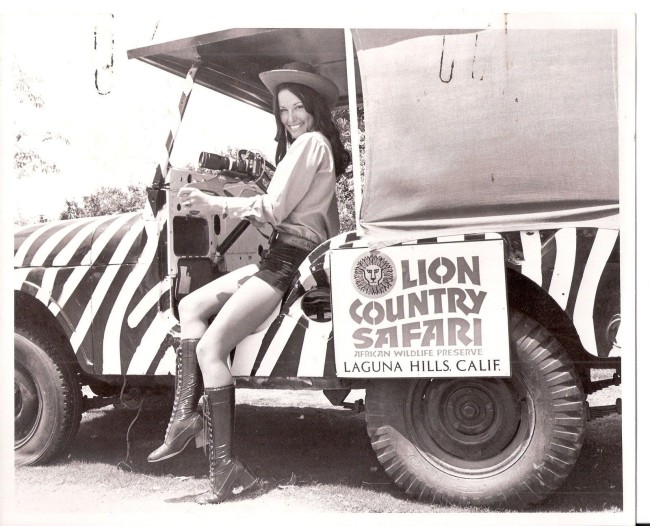 cj5-lion-country-safari-jeep-terry-tolliver