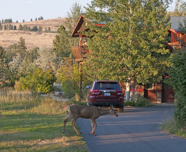 2014-07-28-chewuch-inn1