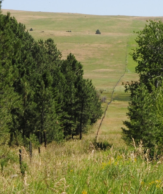 2014-07-30-canada2-border