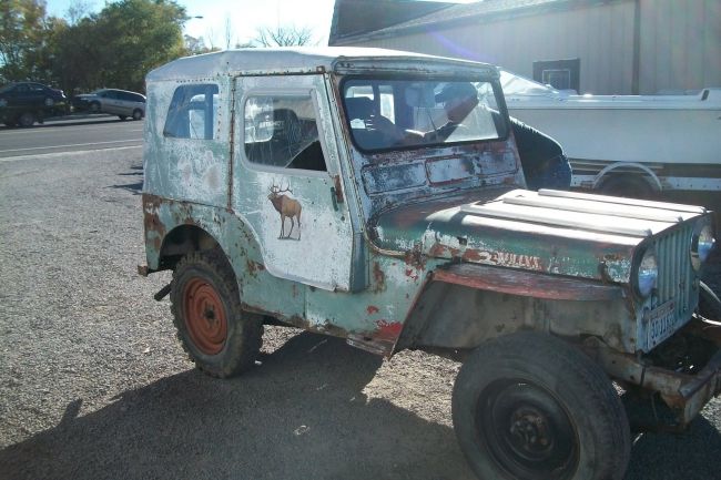 year-cj3a-celdonia-mi1