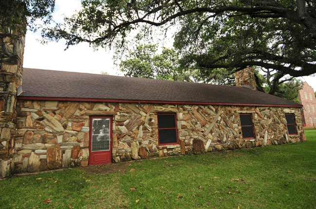 2015-05-08-petrified-wood2