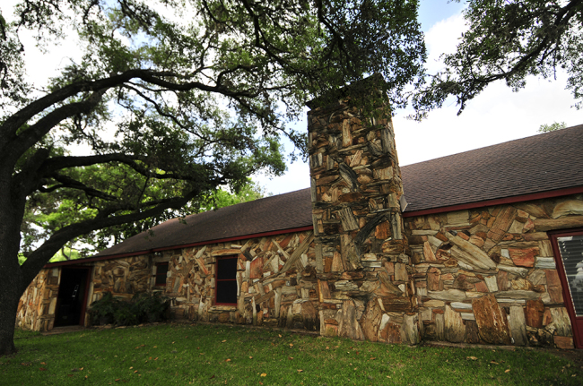 2015-05-08-petrified-wood3