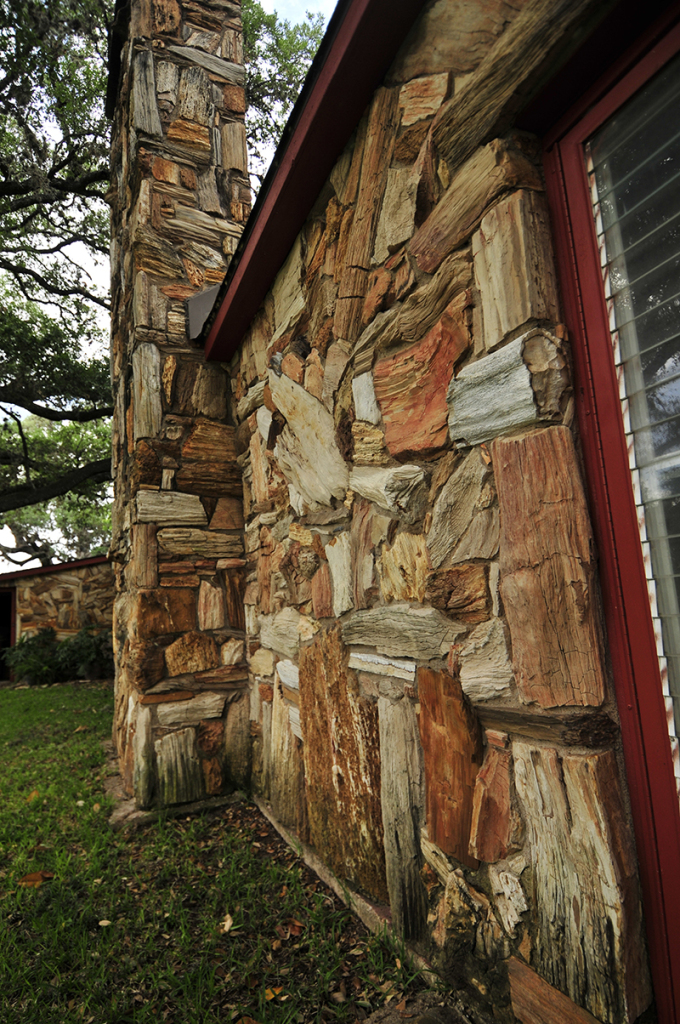 2015-05-08-petrified-wood4