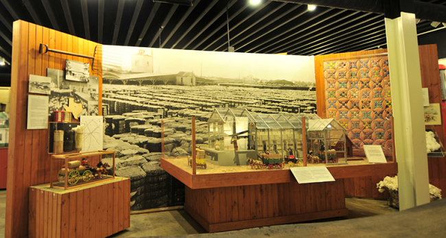 2015-05-13-cotton-audie-murphy-museum4