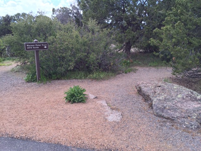 2015-06-01-black-canyone