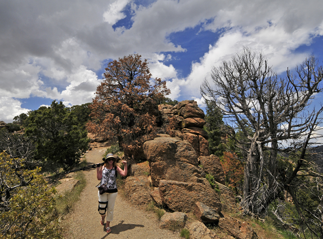 2015-06-01-blackcanyon7