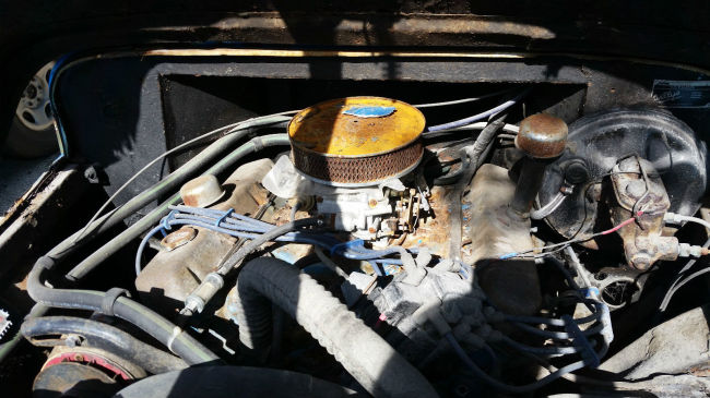 year-wagon-winterpark-fl6