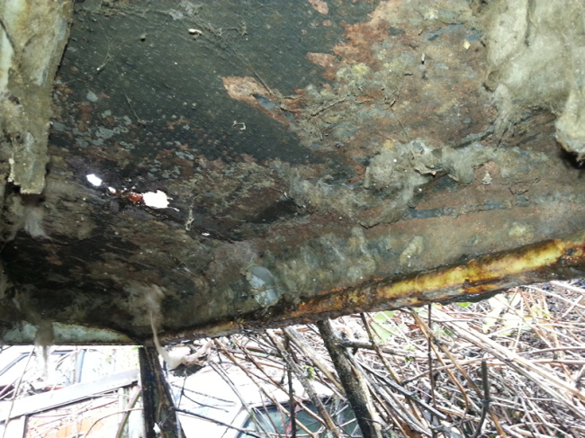 year-cj2a-unique-hardtop-vancouver-wa10