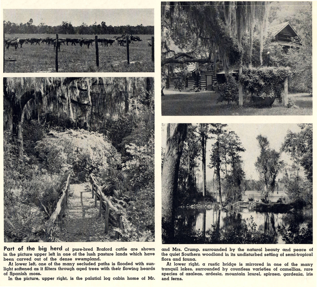 1958-01-willys-news-crump-ranch4