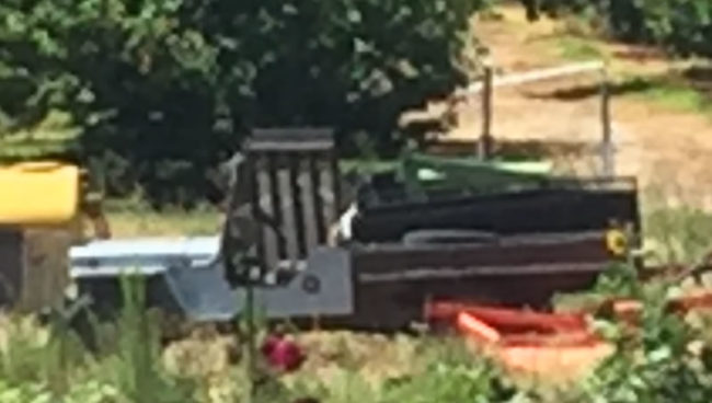 cj2a-jeep-truck-east-wenatchee2