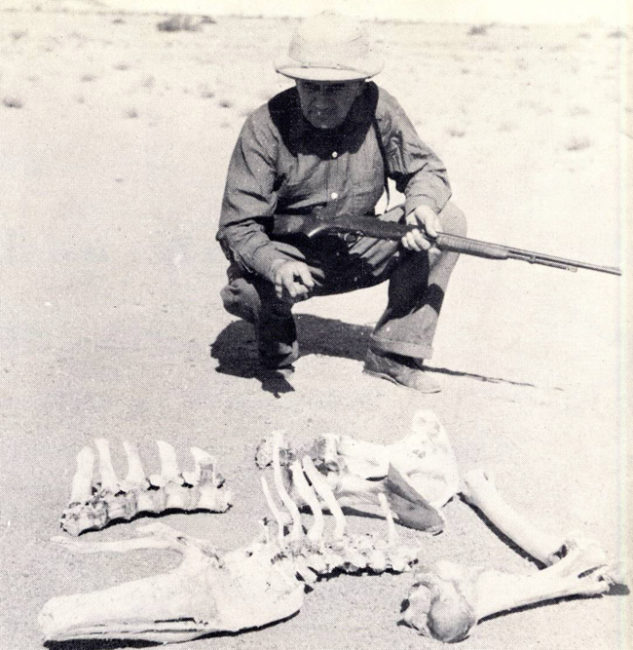 1956-02-globetrotter-african-sail-jeep10