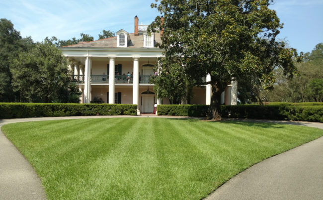 2016-09-28-oak-alley-4