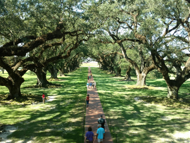 2016-09-28-oak-alley-6