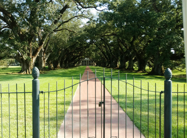 2016-09-28-oak-alley6