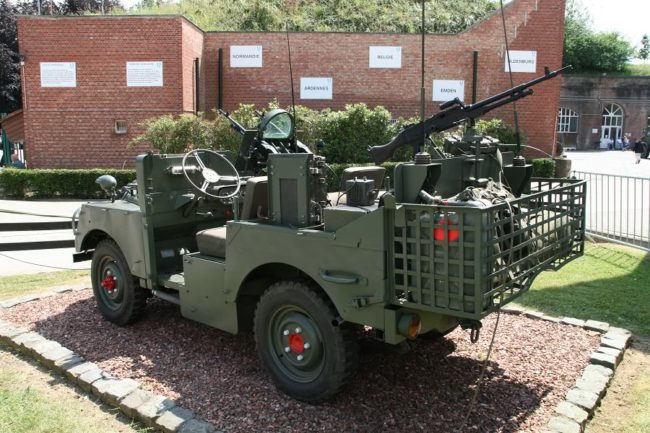 DiestopendeurParas270608006