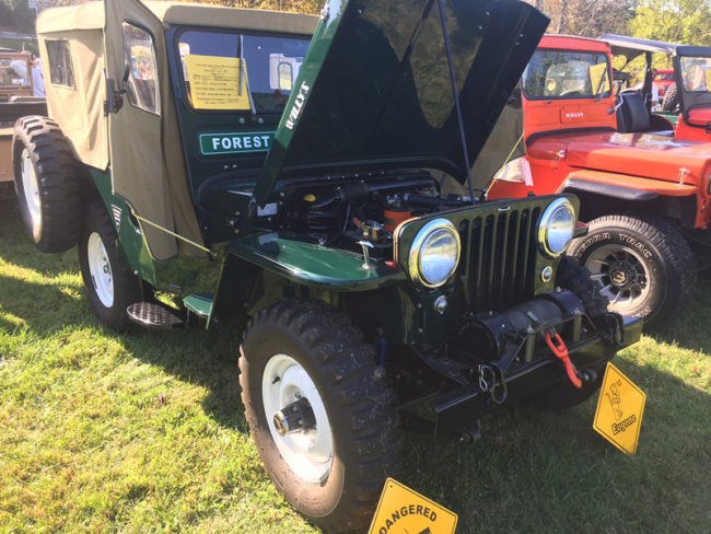 2017-mason-dixon-gray11