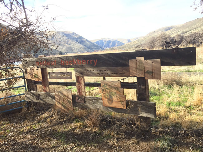 2018-01-18-19-cottonwood-canyon-camping10