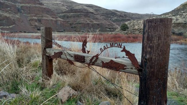 2018-01-18-19-cottonwood-canyon-camping2