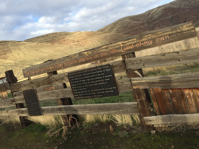 2018-01-18-19-cottonwood-canyon-camping6