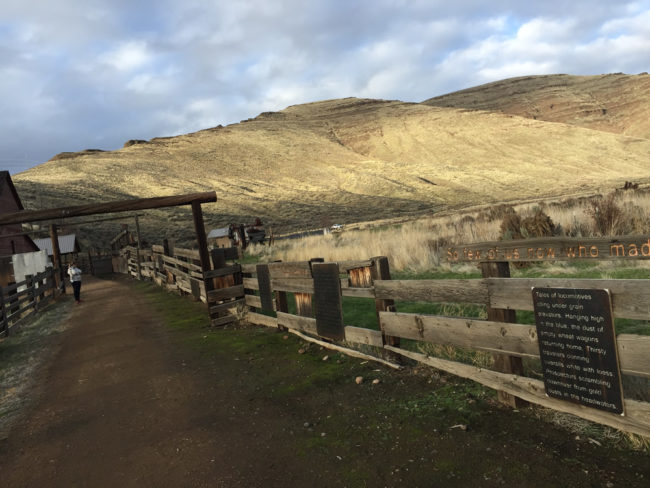 2018-01-18-19-cottonwood-canyon-camping7