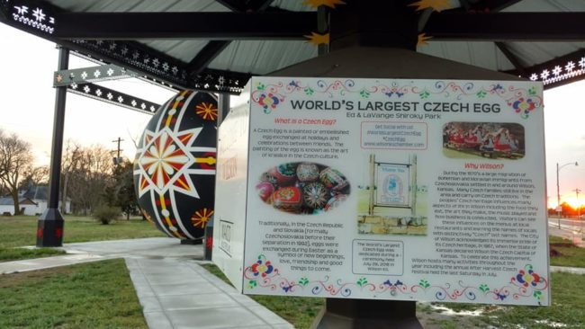 2018-05-01-egg-czech-wilson2