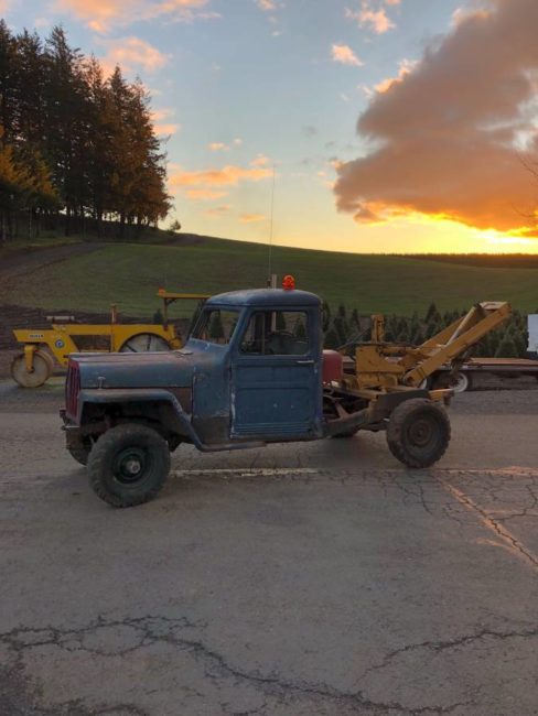 1956-truck-sublimity-or3