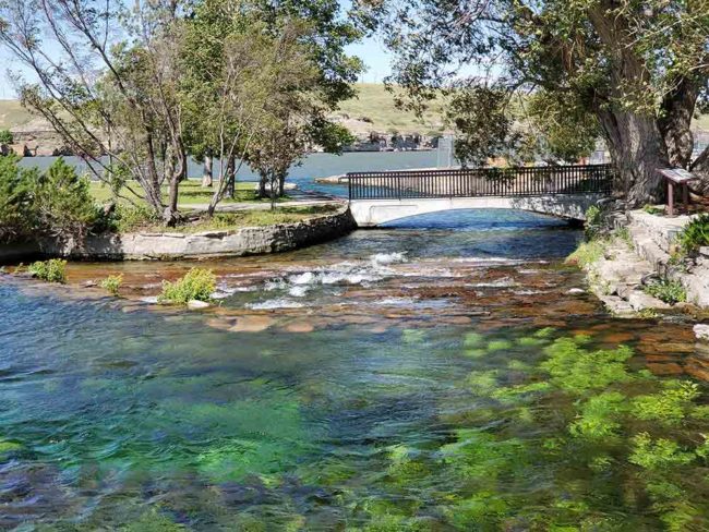 2019-07-18-giantspring2