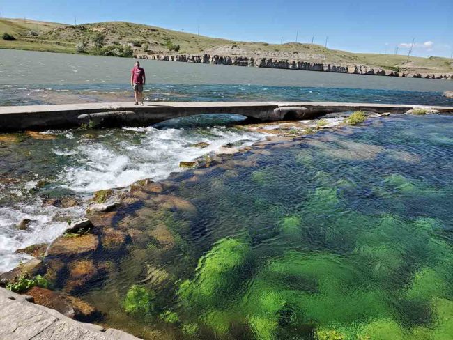 2019-07-18-giantspring3