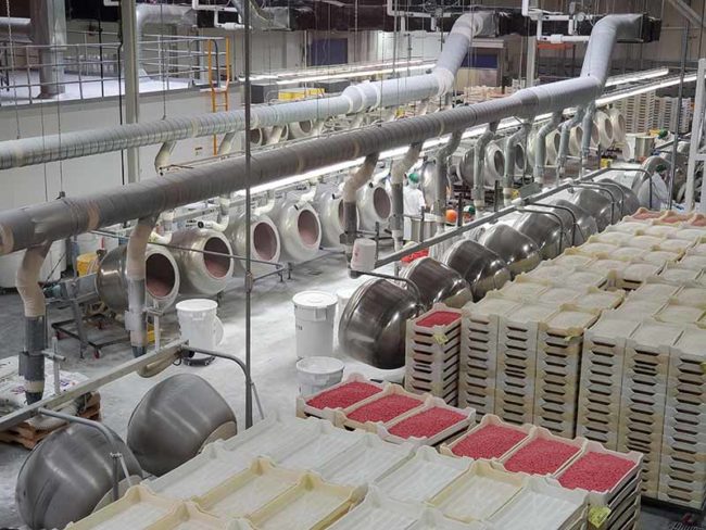 2019-09-21-kaisa-jellybean6-lores