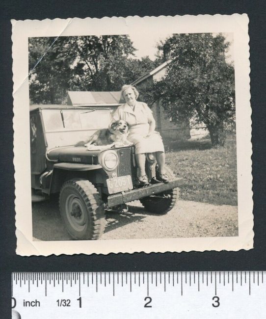 random-photo-woman-dog-1