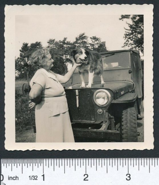 random-photo-woman-dog-2