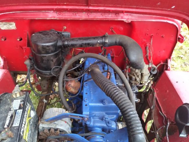 year-cj3b-greenburg2