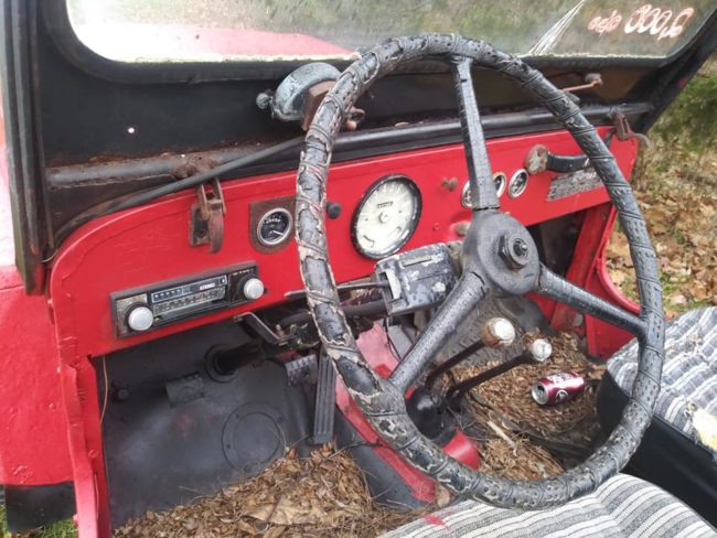 year-cj3b-greenburg3