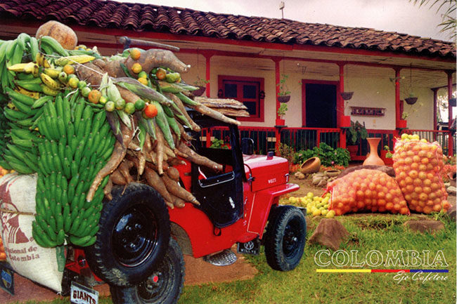 colombia-yipao-de-law-cultura-cafetera-postcard1-lores