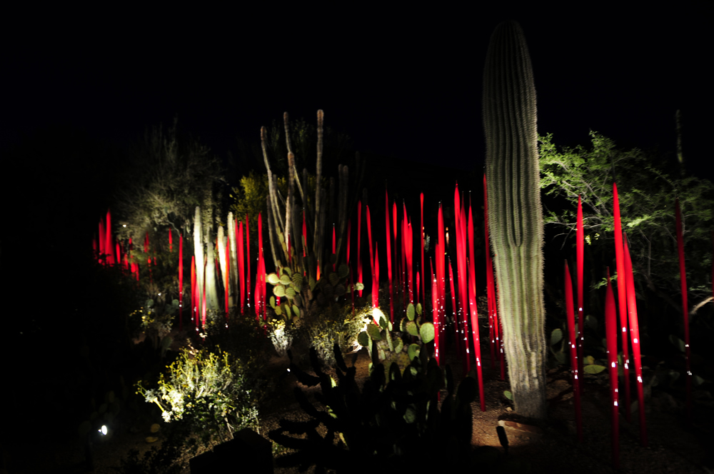 2014-03-31-chihuly-begin