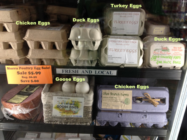 2014-04-23-placerville-coop-eggs2