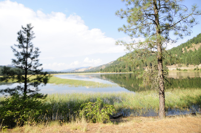 2014-07-30-roosevelt-lake-campground