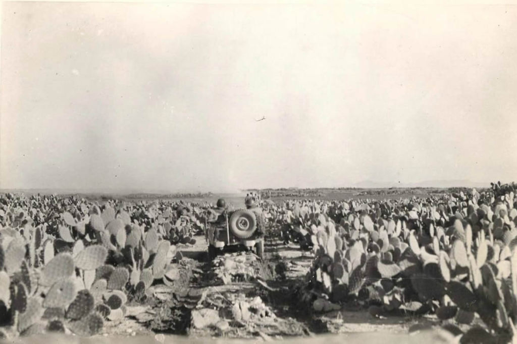 1943-03-16-tunisia-cactus1