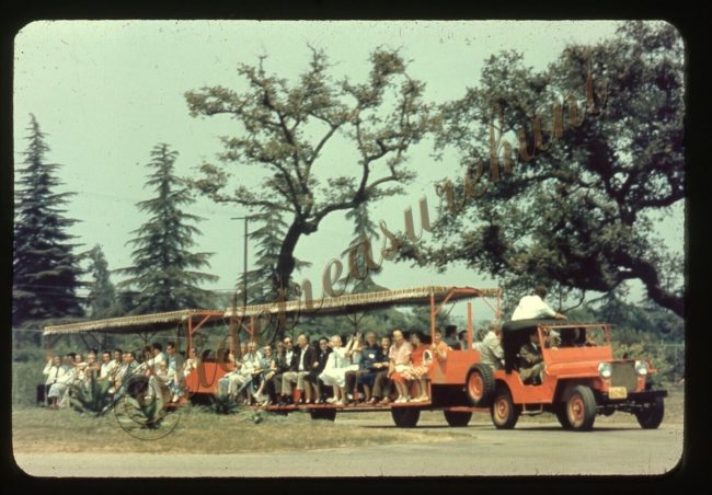 la-arboretum-slide-jeep-tram1