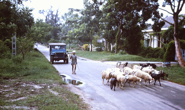 1963-vietnam4