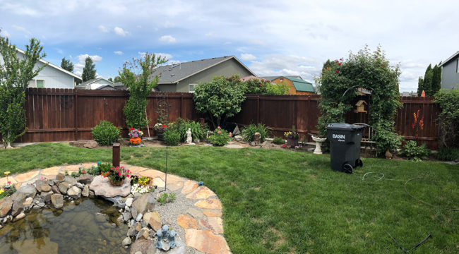 2019-05-18-backyard-gravel1