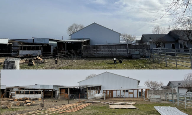 Before-after-chicken-shack