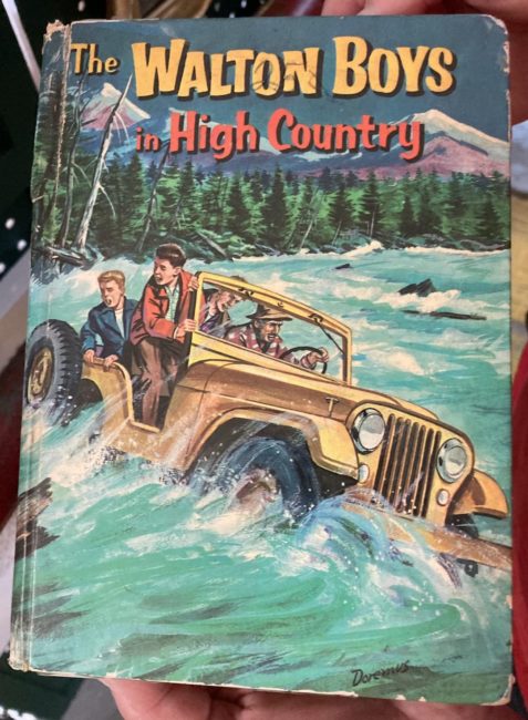 the-walton-boys-in-high-country-cj5-book